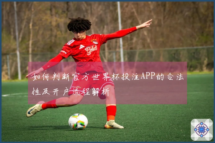 如何判断官方世界杯投注APP的合法性及开户流程解析