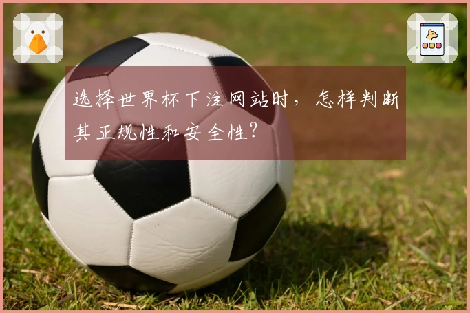 选择世界杯下注网站时，怎样判断其正规性和安全性？