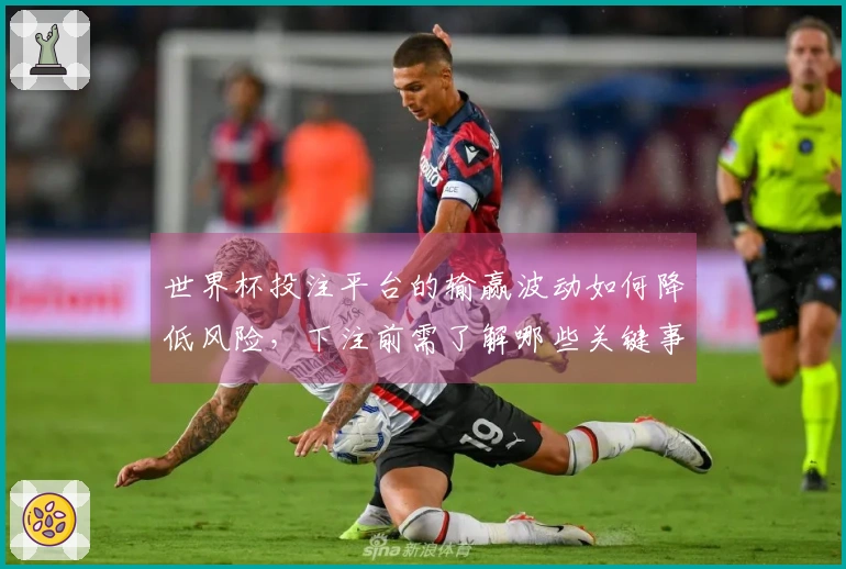世界杯投注平台的输赢波动如何降低风险，下注前需了解哪些关键事项