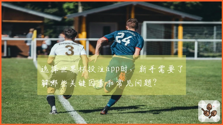 选择世界杯投注app时，新手需要了解哪些关键因素和常见问题？