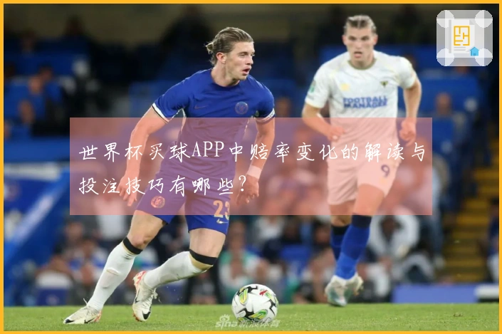 世界杯买球APP中赔率变化的解读与投注技巧有哪些？