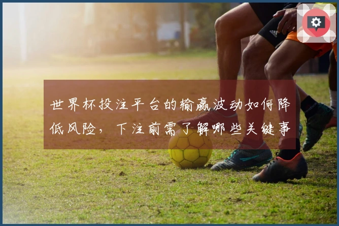 世界杯投注平台的输赢波动如何降低风险，下注前需了解哪些关键事项